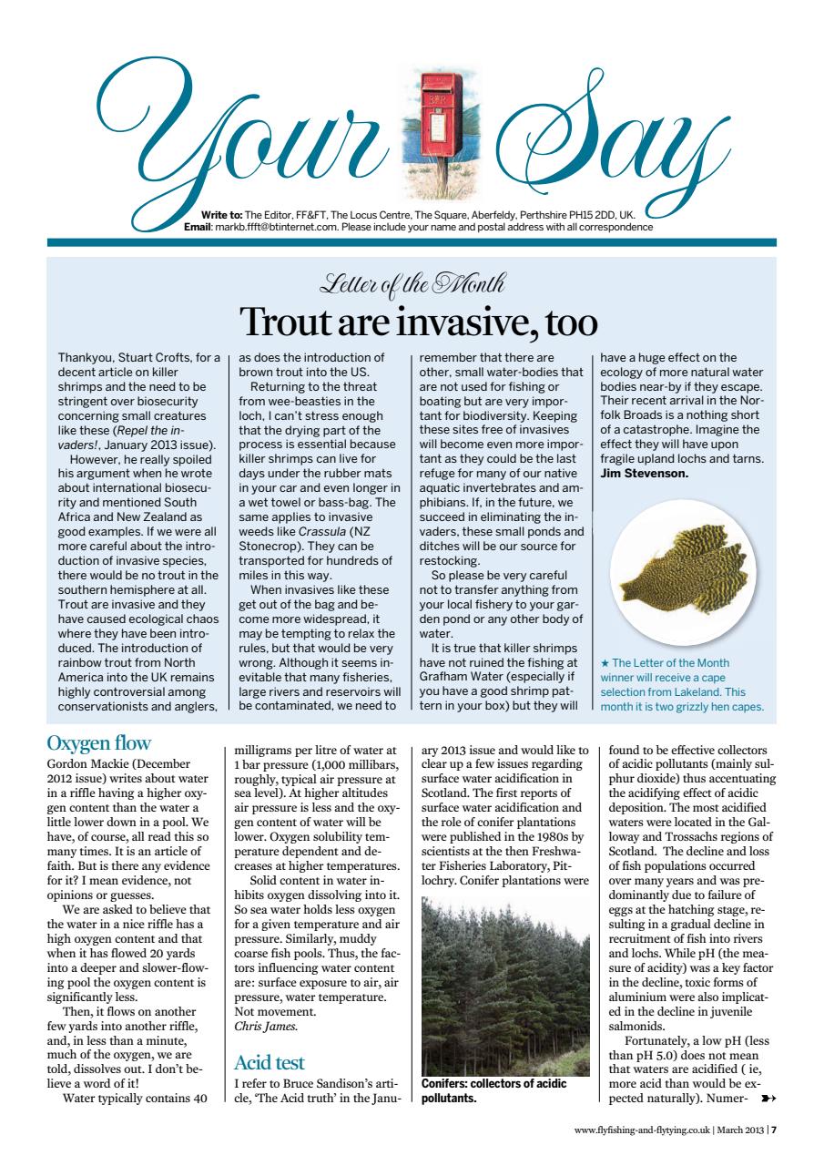 Fly Fishing and Fly Tying Preview Pages