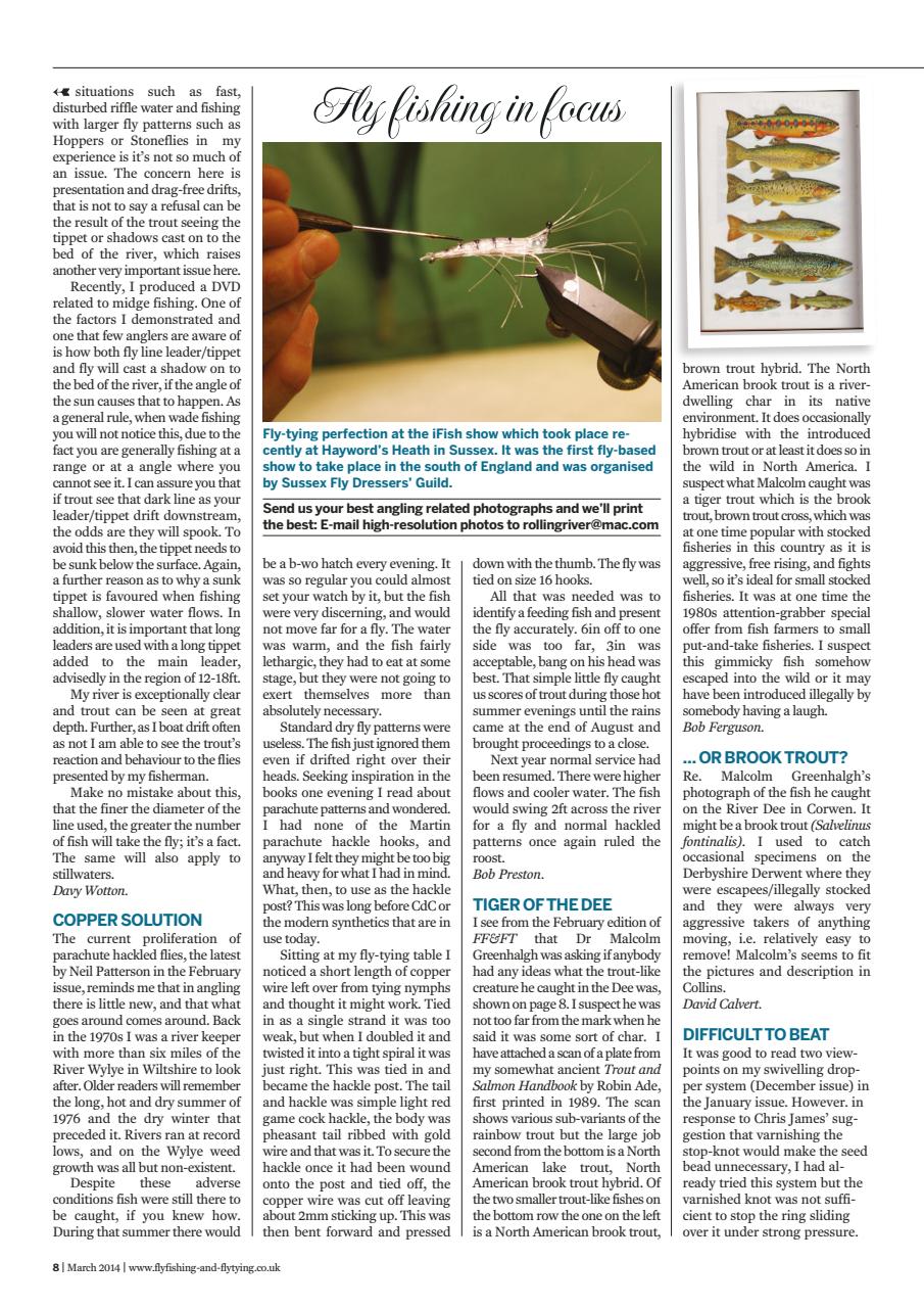 Fly Fishing and Fly Tying Preview Pages