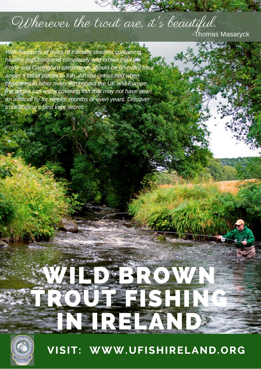 Fly Fishing and Fly Tying Preview Pages