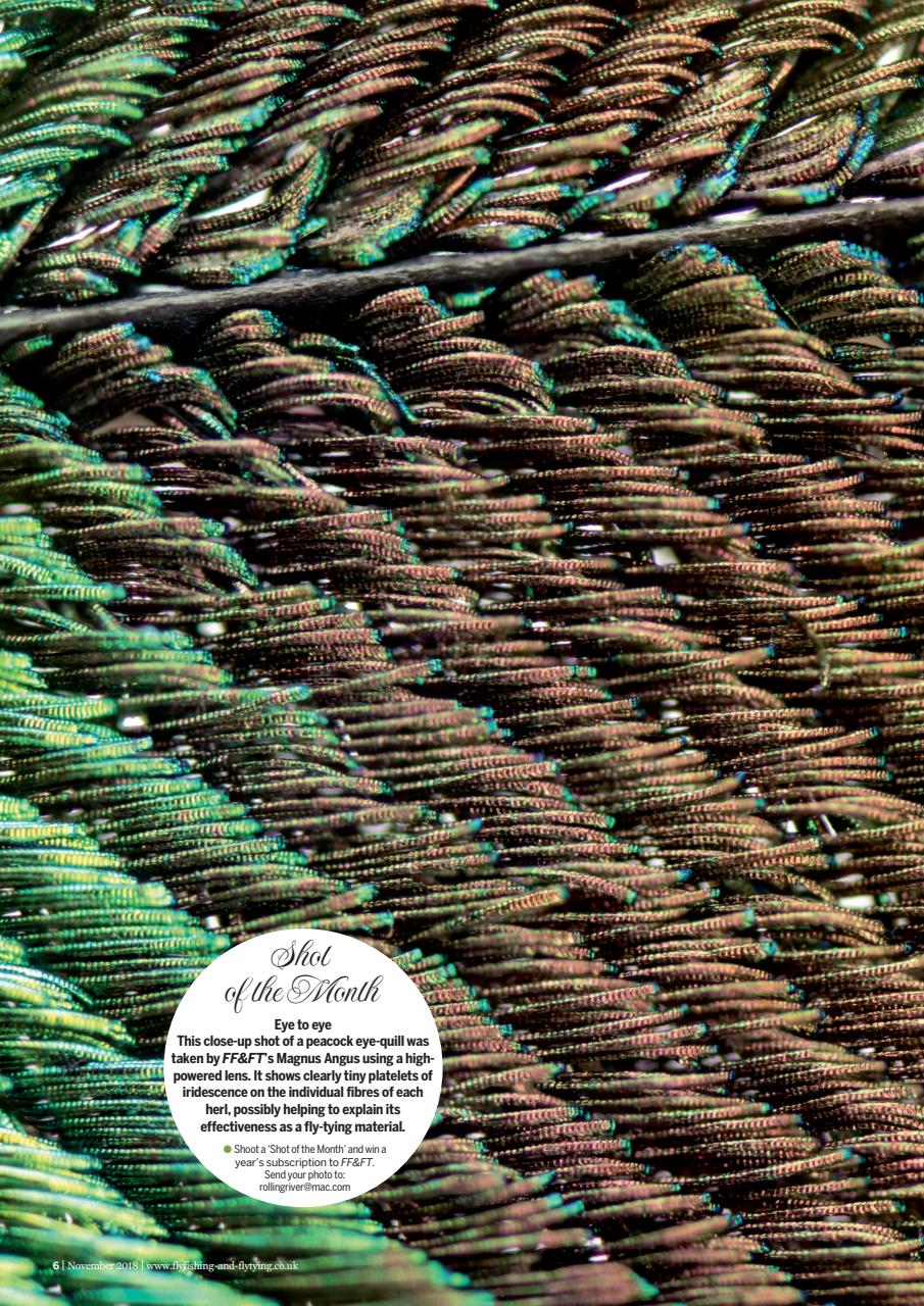 Fly Fishing and Fly Tying Preview Pages