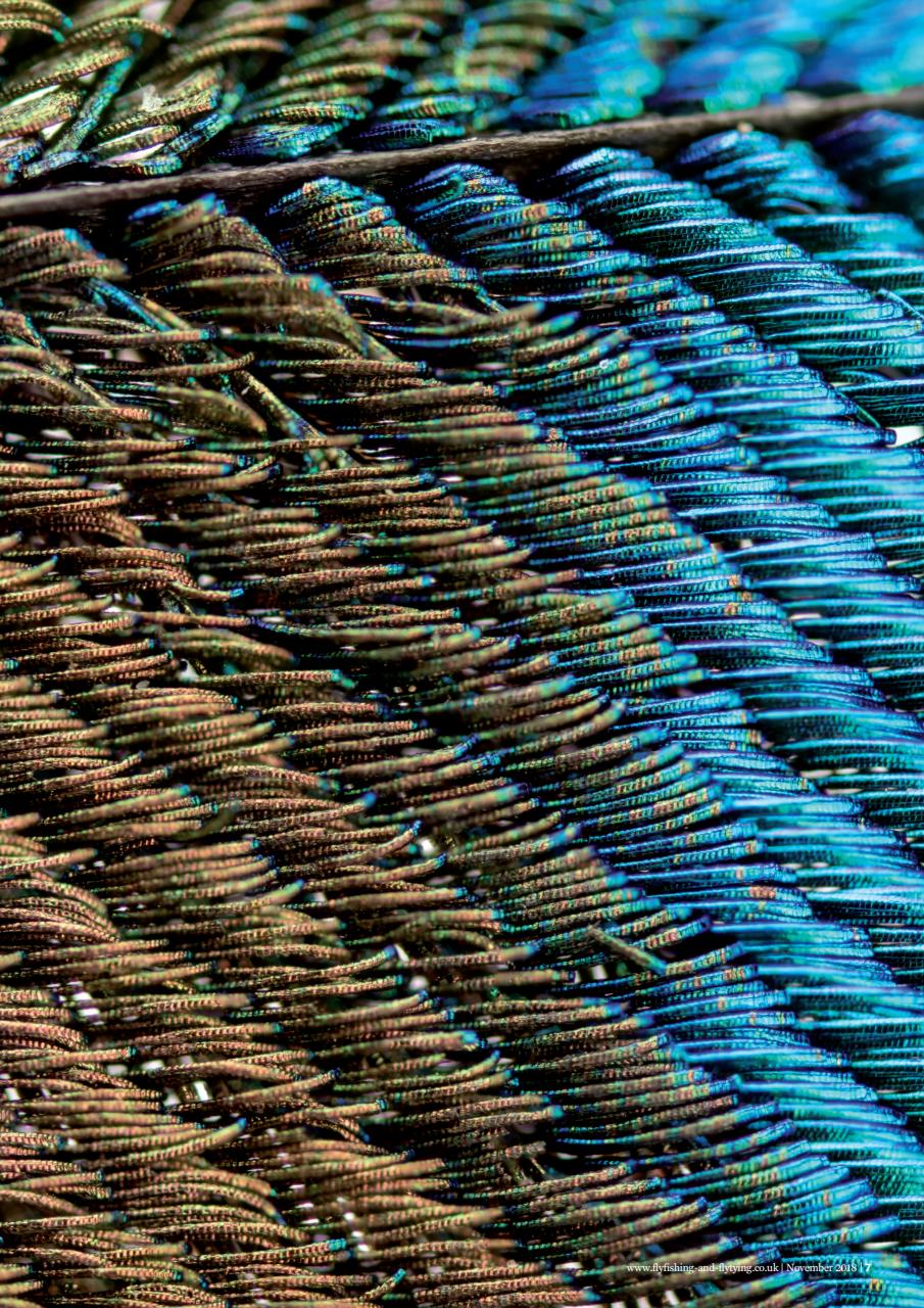 Fly Fishing and Fly Tying Preview Pages