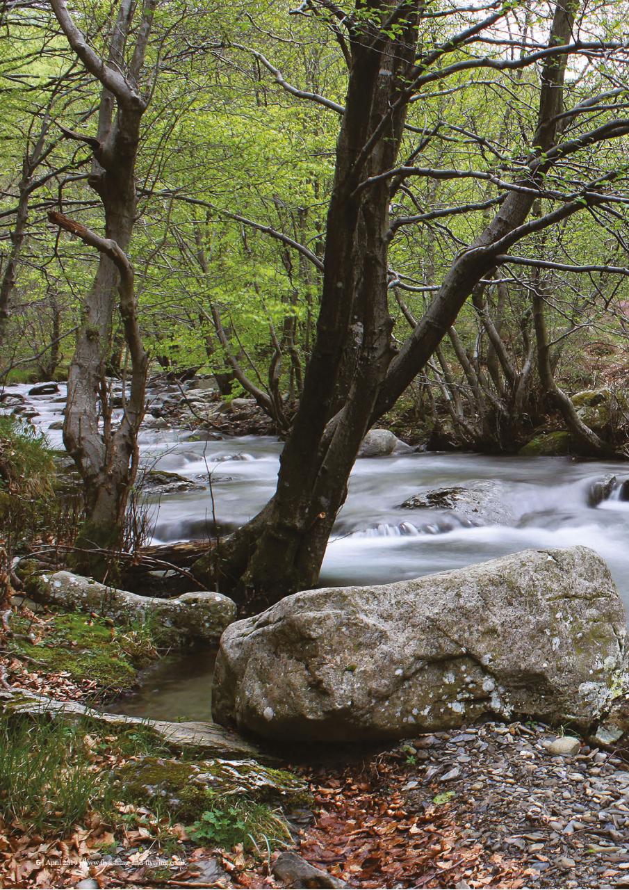 Fly Fishing and Fly Tying Preview Pages