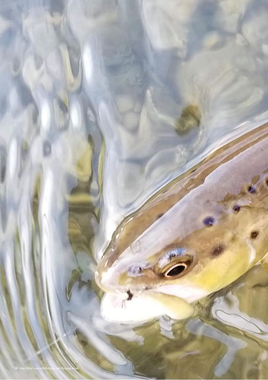 Fly Fishing and Fly Tying Preview Pages