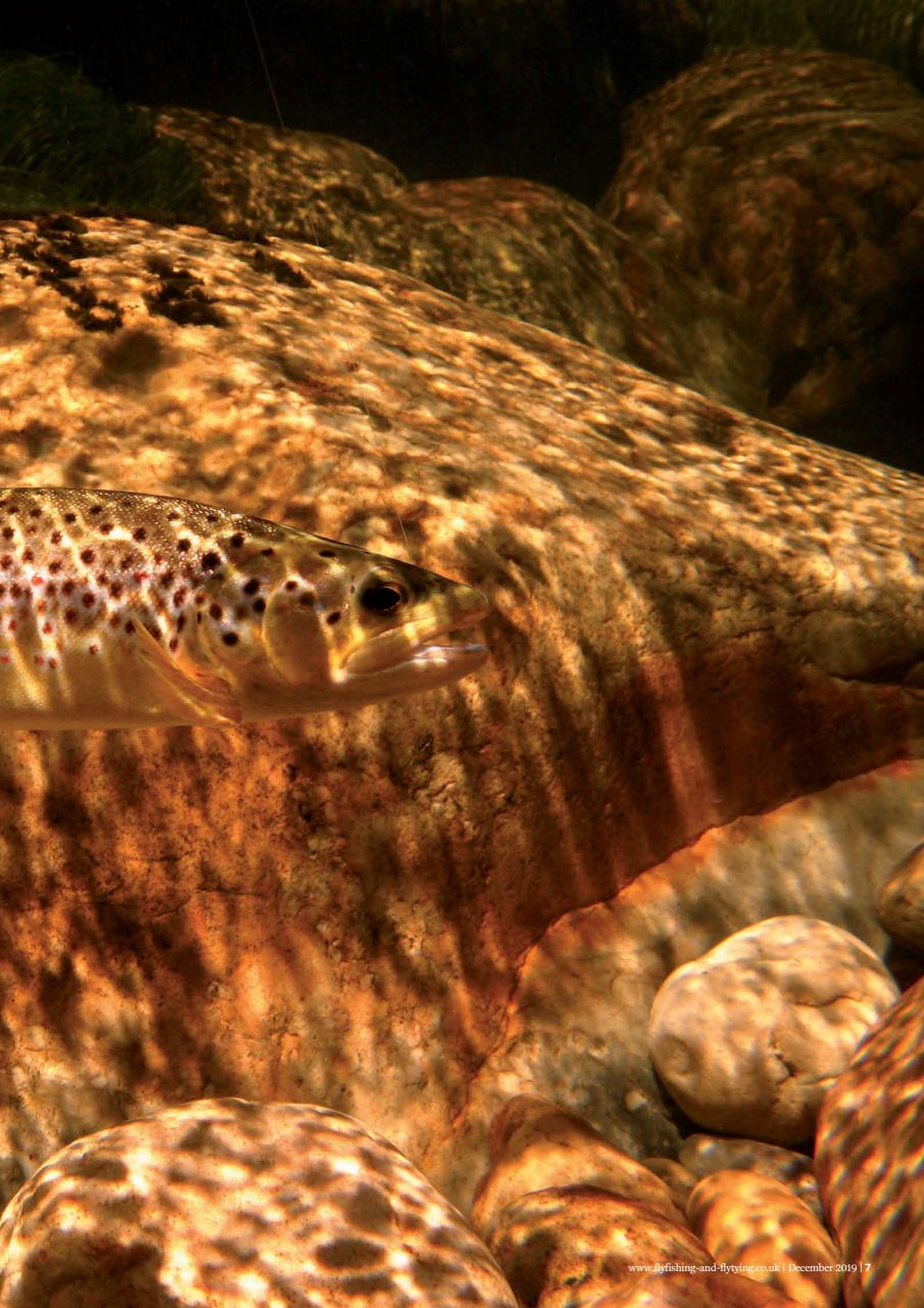 Fly Fishing and Fly Tying Preview Pages