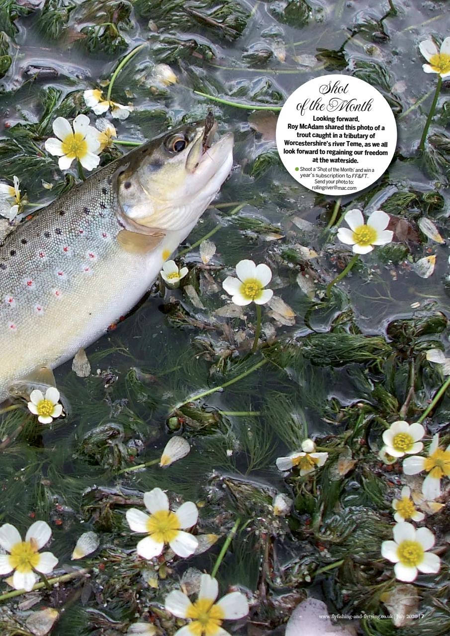 Fly Fishing and Fly Tying Preview Pages