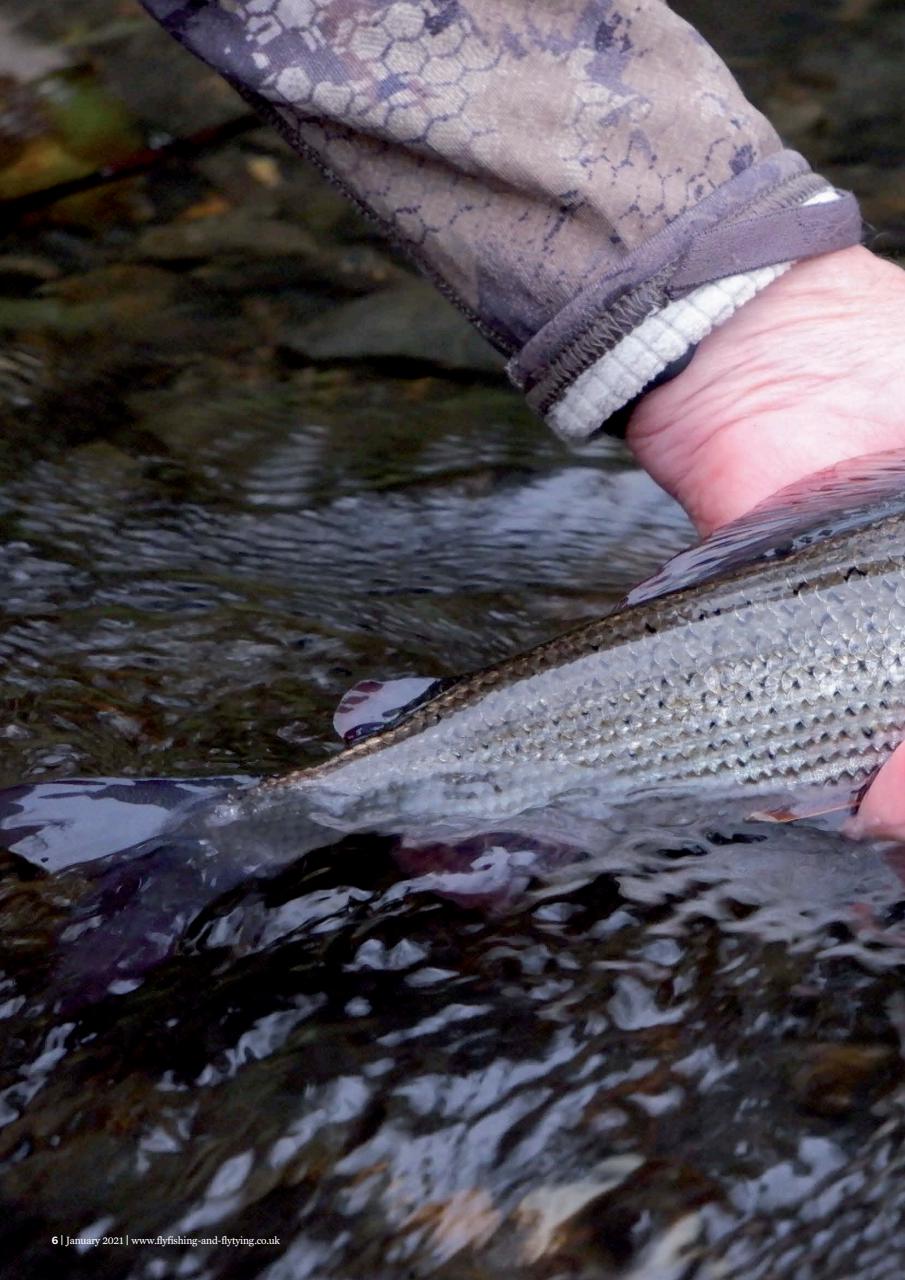 Fly Fishing and Fly Tying Preview Pages