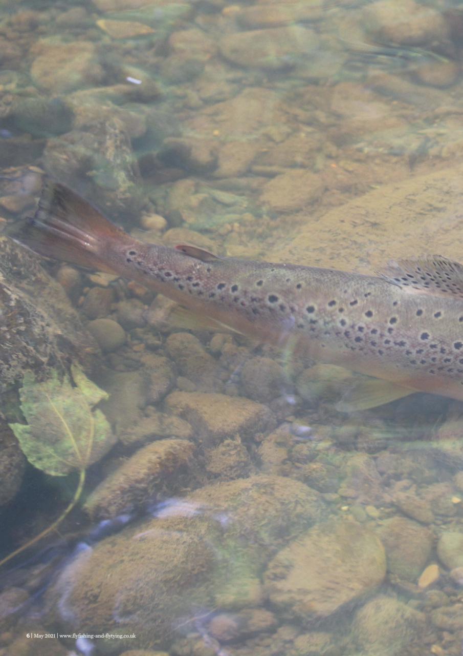 Fly Fishing and Fly Tying Preview Pages