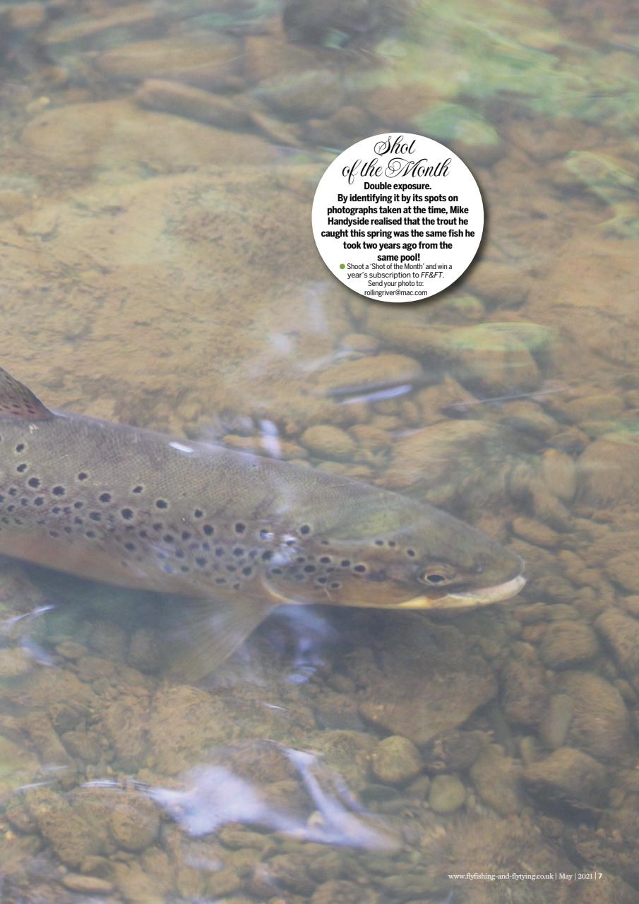 Fly Fishing and Fly Tying Preview Pages