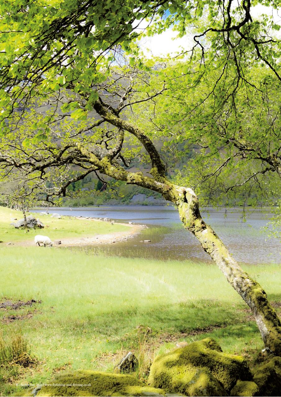 Fly Fishing and Fly Tying Preview Pages