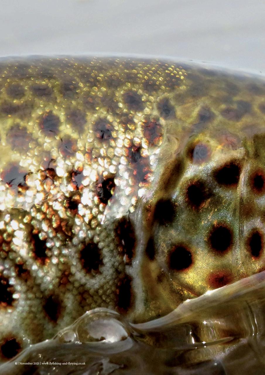 Fly Fishing and Fly Tying Preview Pages