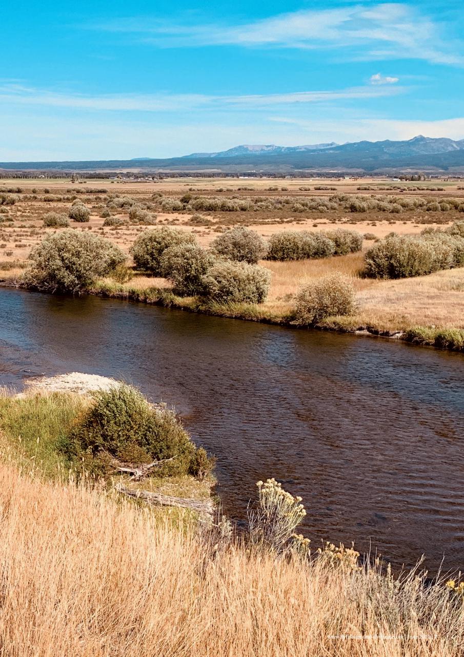 Fly Fishing and Fly Tying Preview Pages