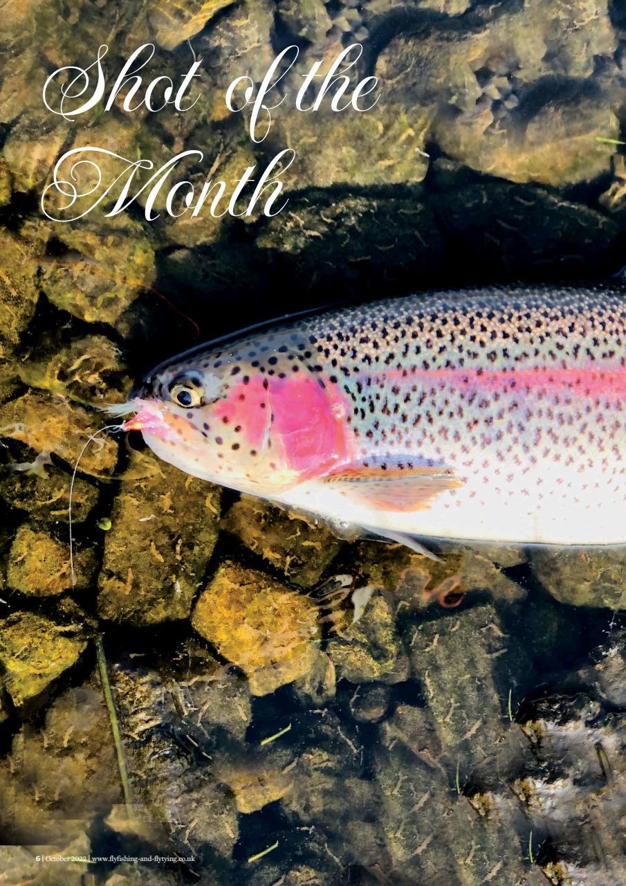 Fly Fishing and Fly Tying Preview Pages