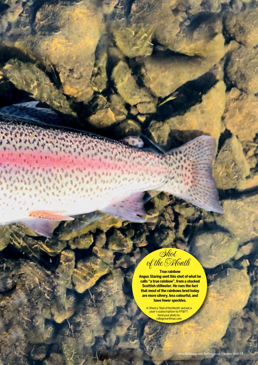 Fly Fishing and Fly Tying Preview Pages
