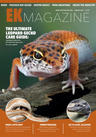 Exotics Keeper issue January 2025