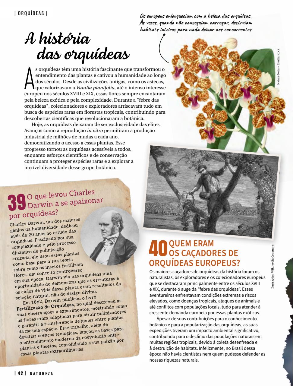 Natureza Preview Pages