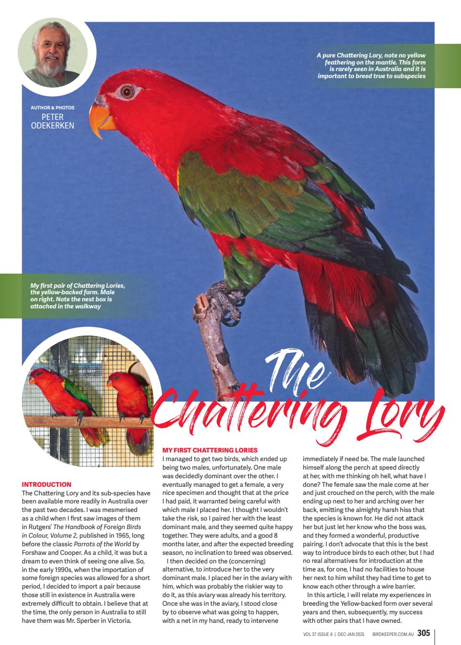 Australian Birdkeeper Magazine Preview Pages
