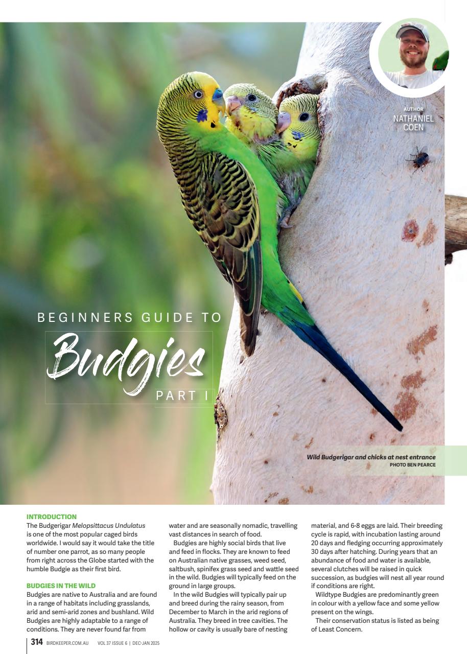 Australian Birdkeeper Magazine Preview Pages