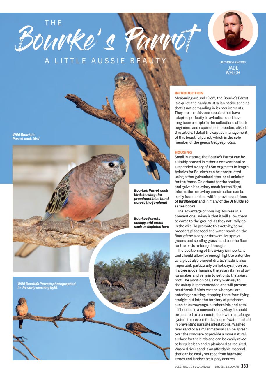 Australian Birdkeeper Magazine Preview Pages