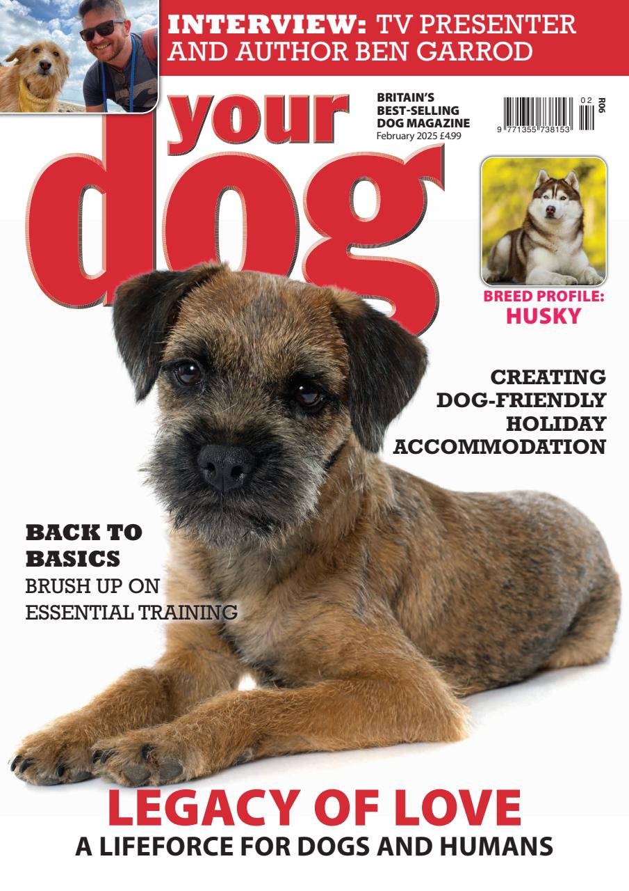 Your Dog Magazine Subscriptions and February 2025 Issue