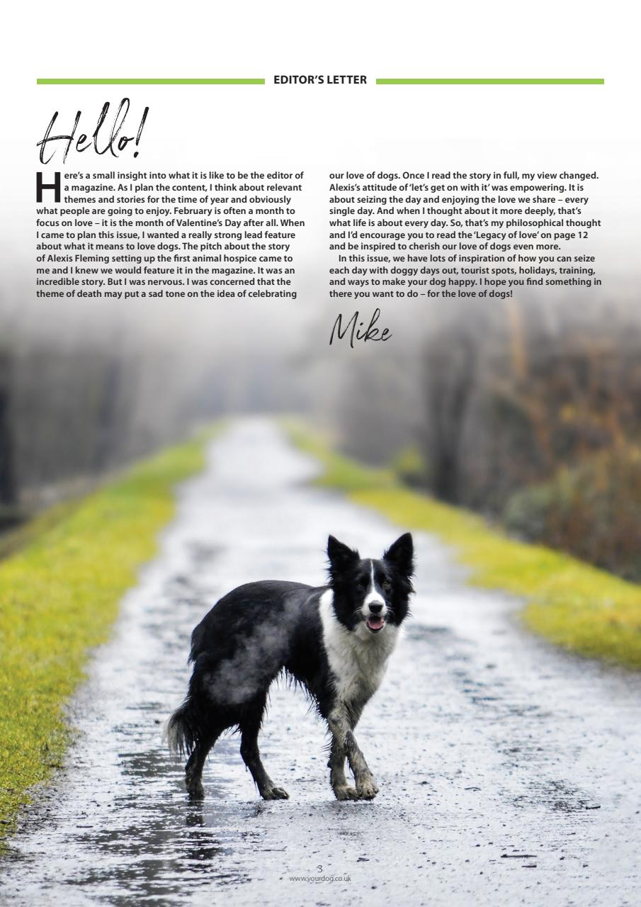 Your Dog Magazine Subscriptions and February 2025 Issue