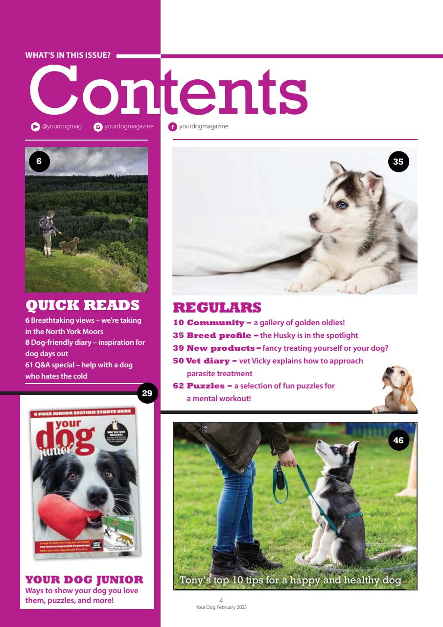 Your Dog Magazine Subscriptions and February 2025 Issue