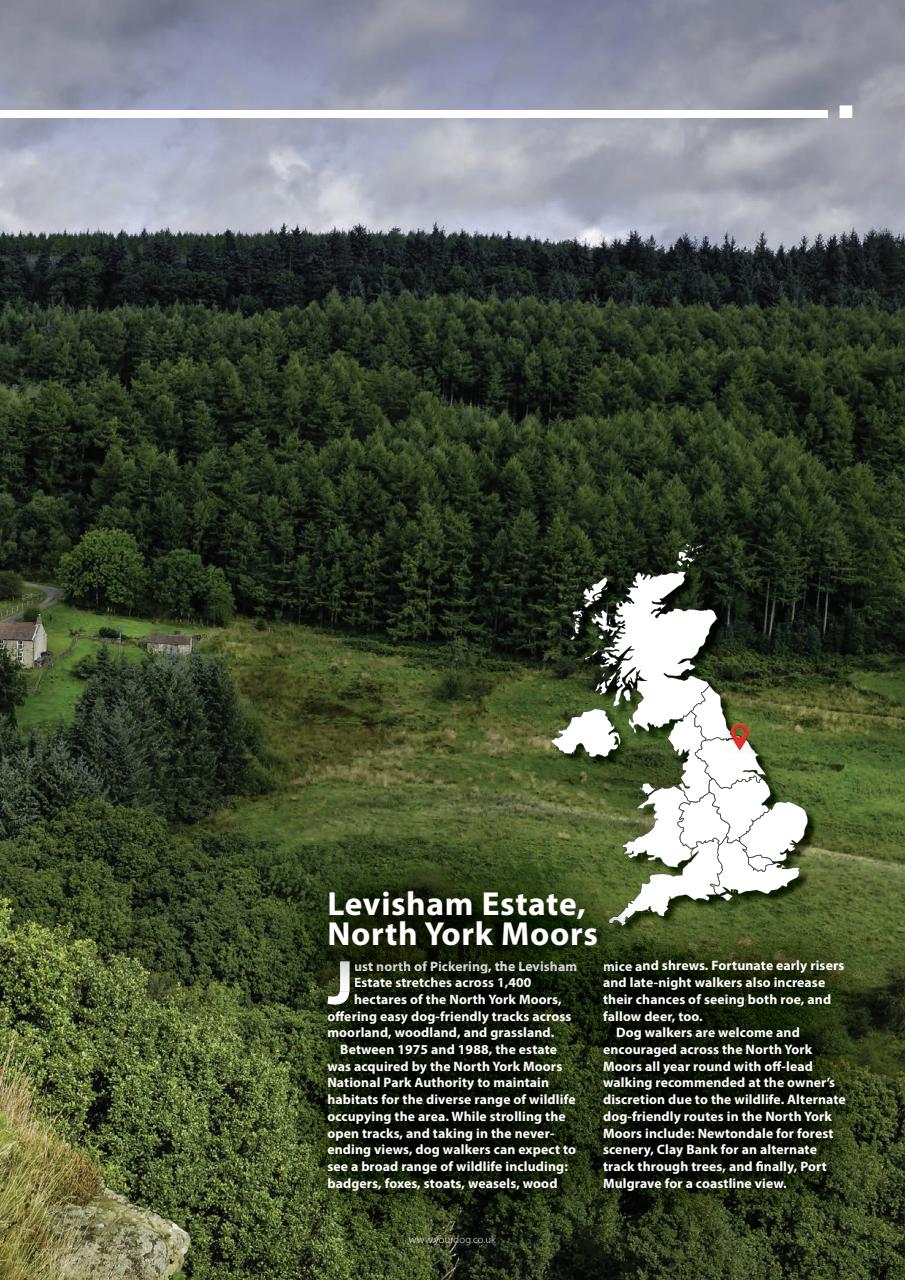 Your Dog Preview Pages