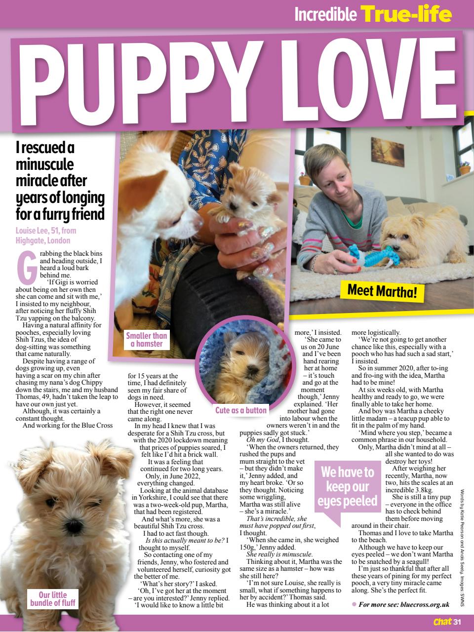 Chat Specials Preview Pages