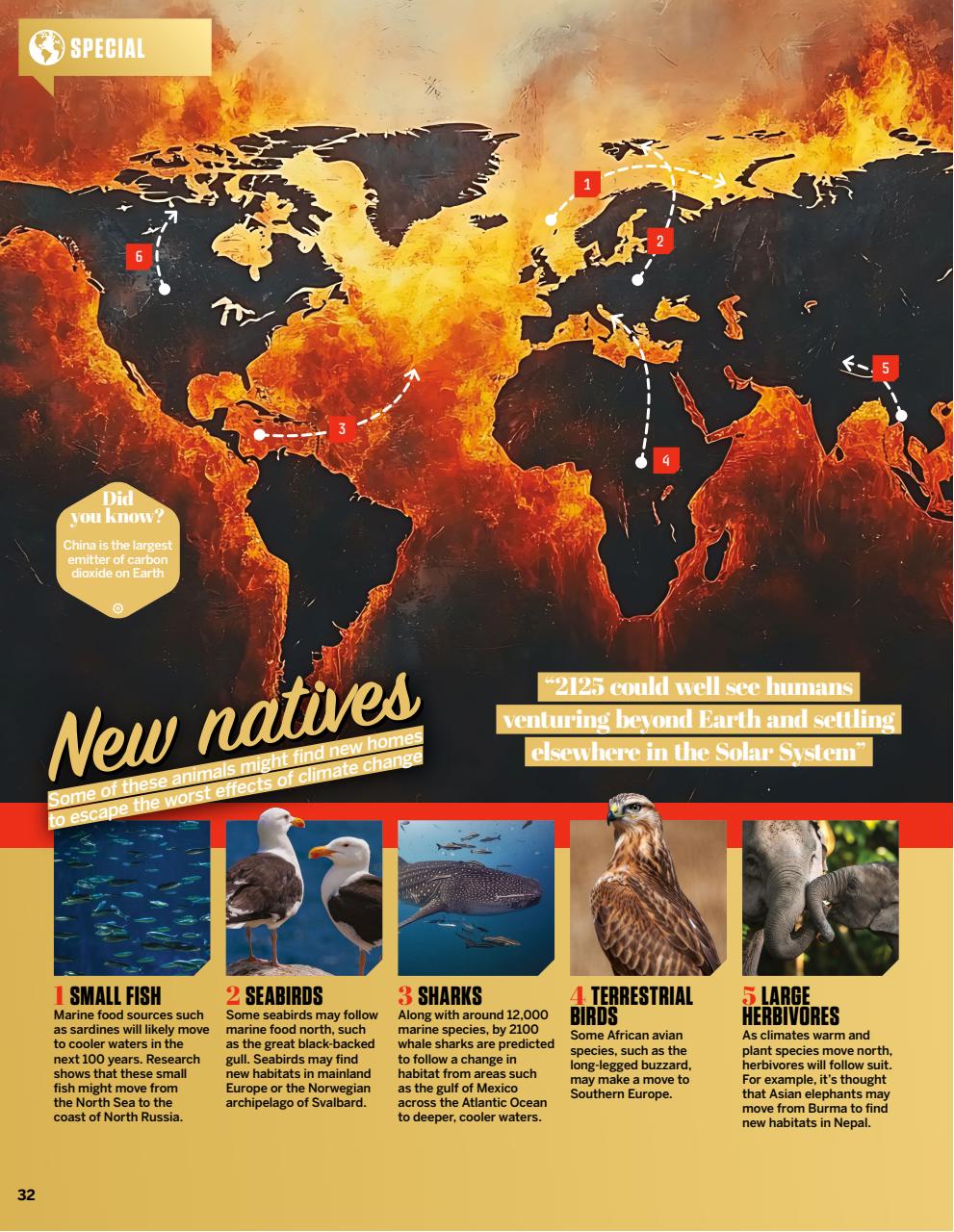 How It Works Preview Pages