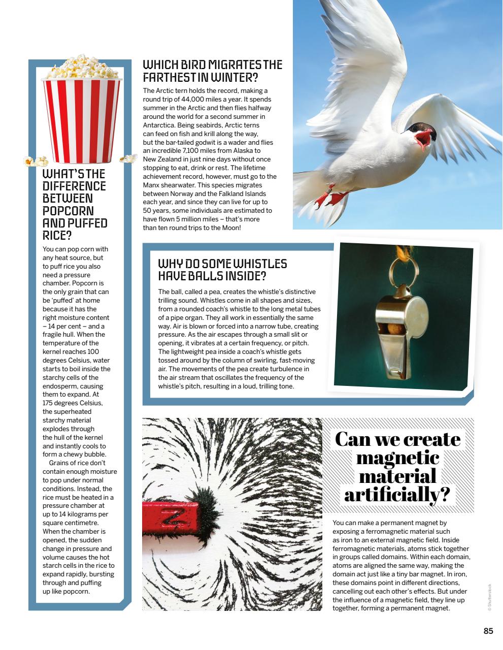 How It Works Preview Pages