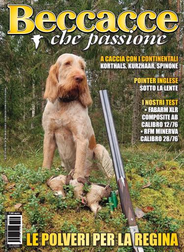 BECCACCE CHE PASSIONE issue 