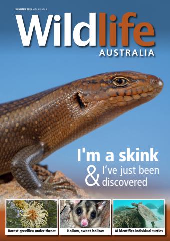 Wildlife Australia issue Summer 2024