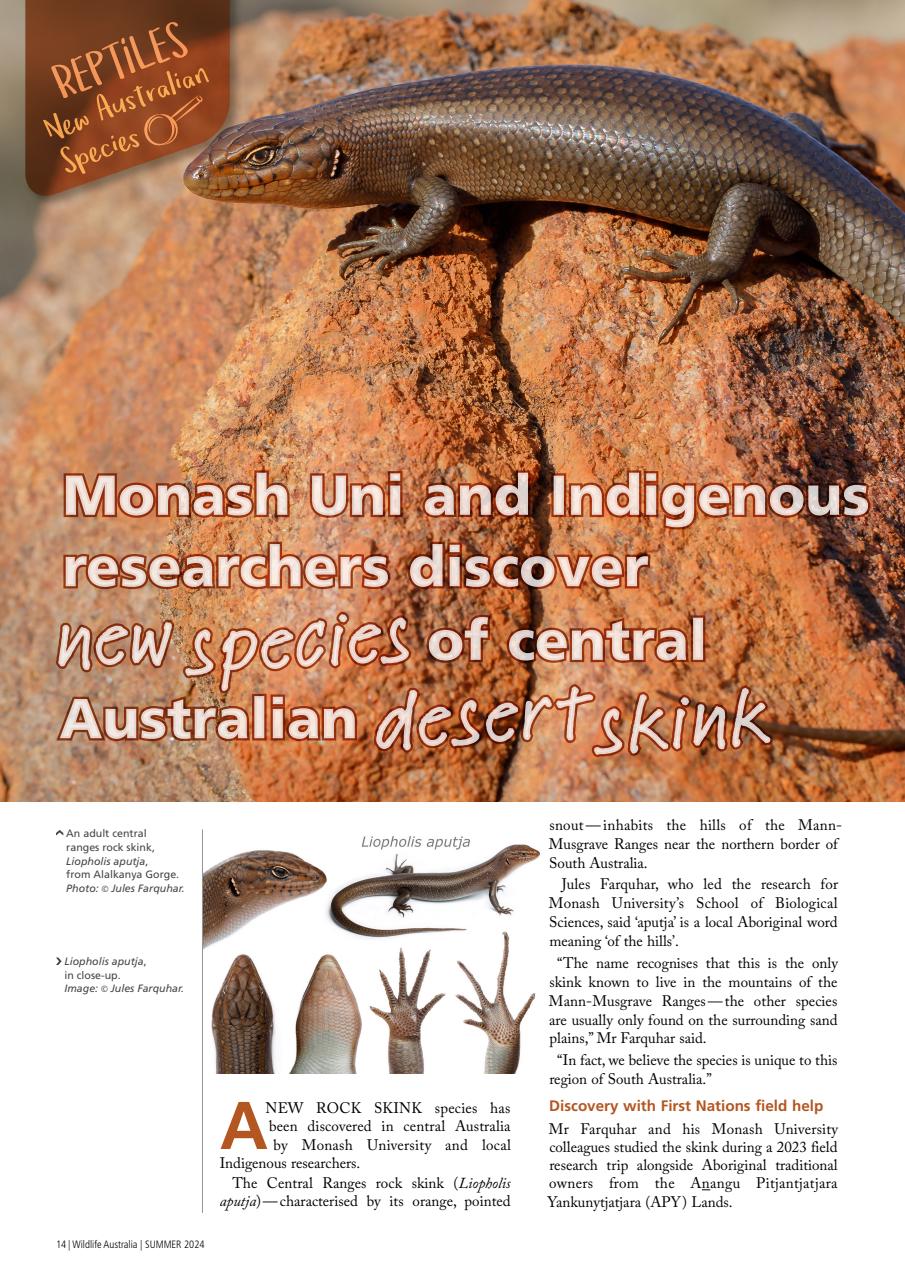 Wildlife Australia Preview Pages