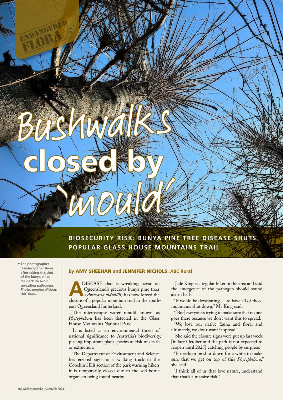 Wildlife Australia Preview Pages