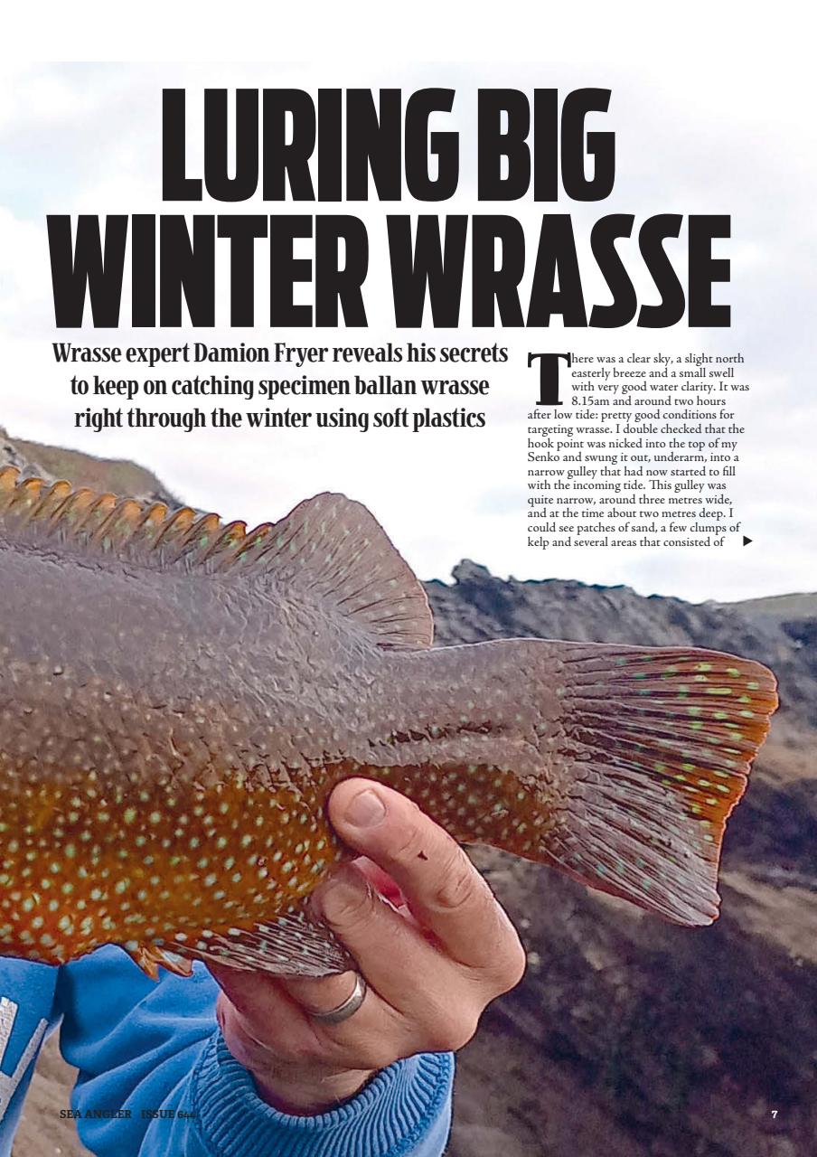 Sea Angler Preview Pages