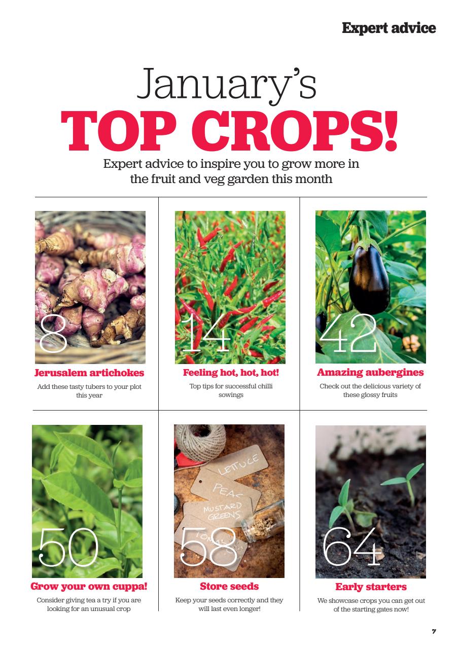 Grow Your Own Preview Pages