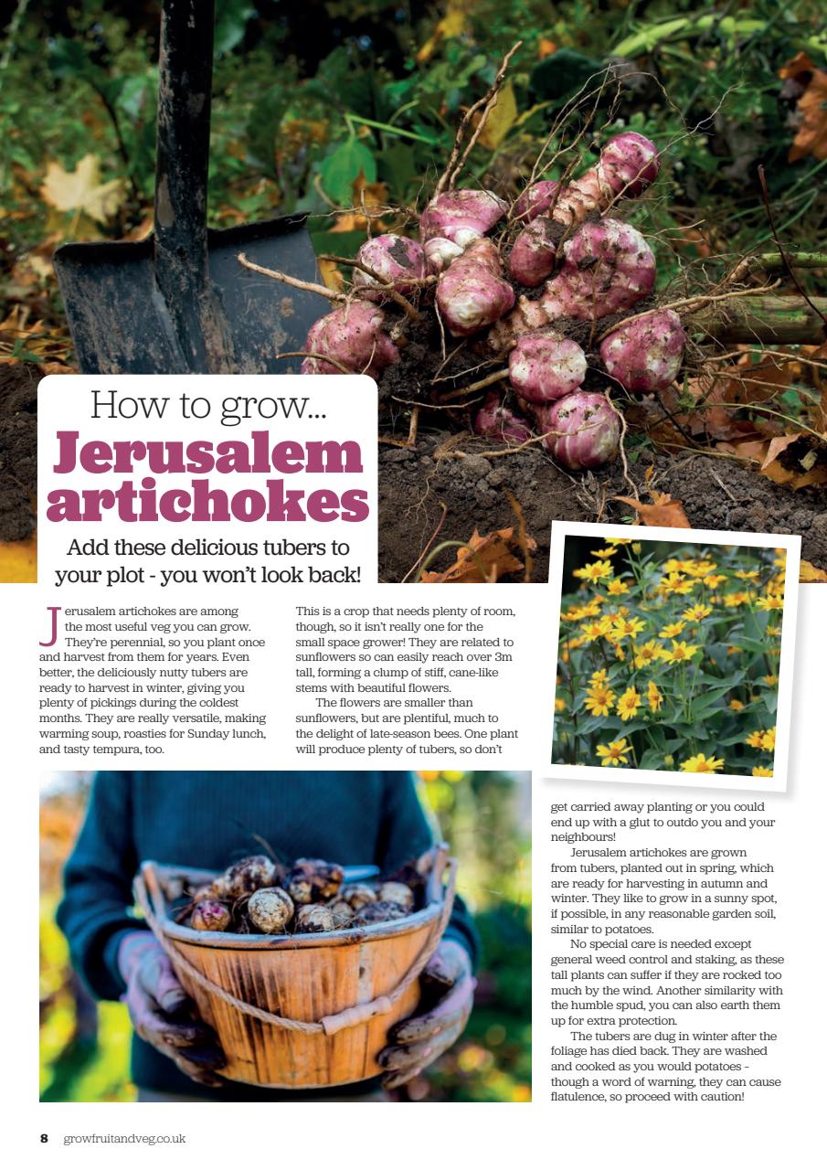 Grow Your Own Preview Pages