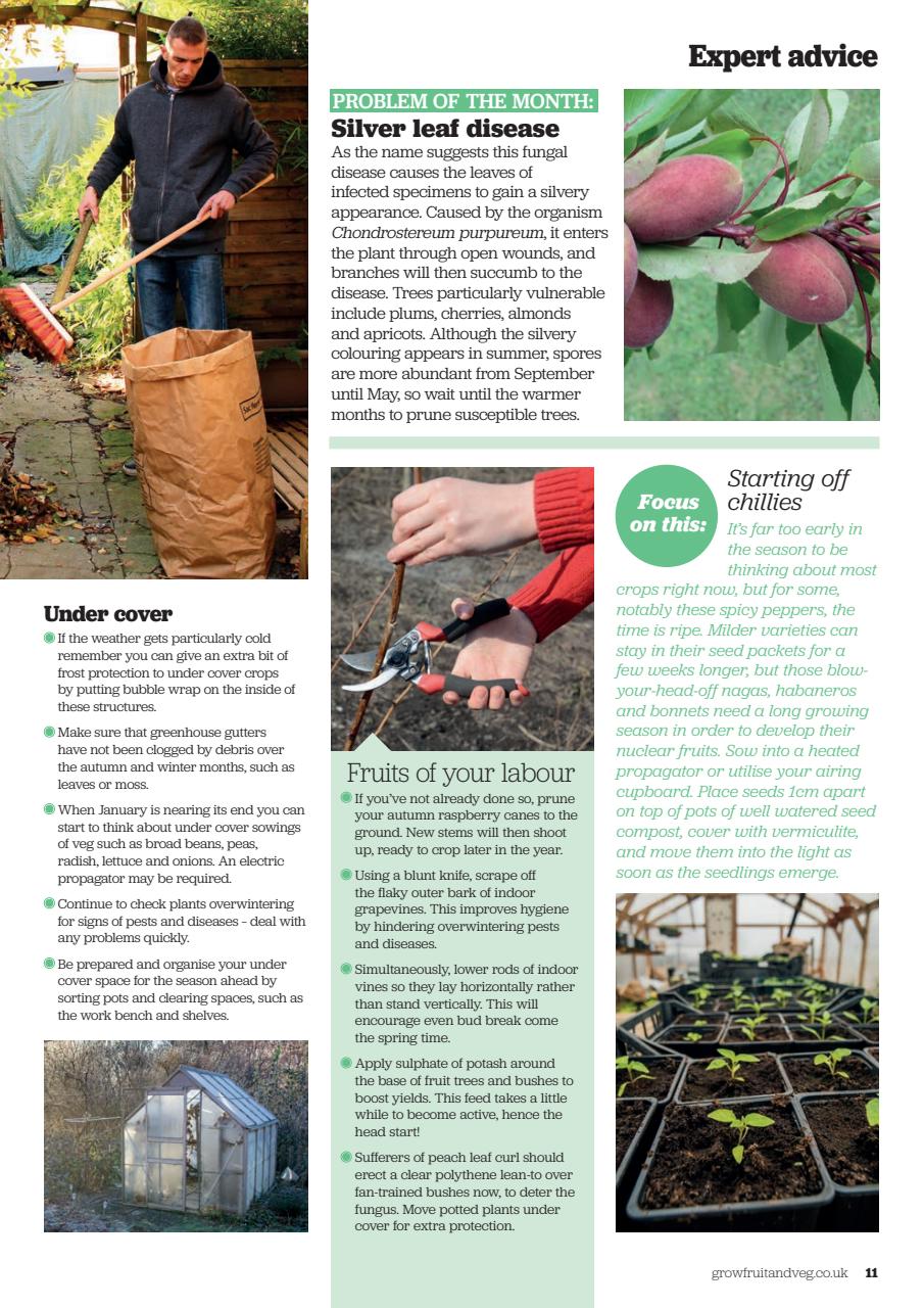 Grow Your Own Preview Pages