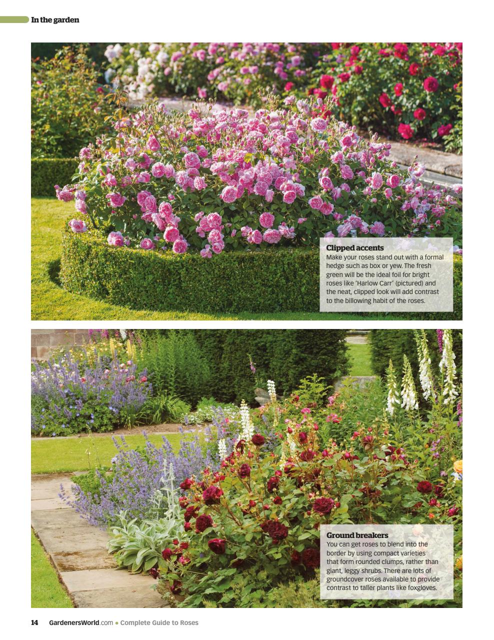 BBC Gardeners’ World Magazine Preview Pages