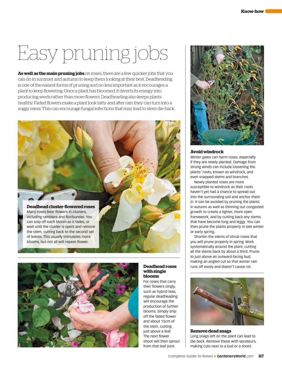 BBC Gardeners’ World Magazine Preview Pages