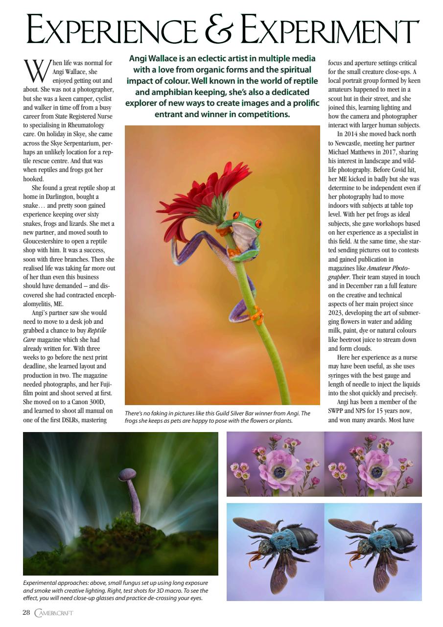 f2 Cameracraft Preview Pages