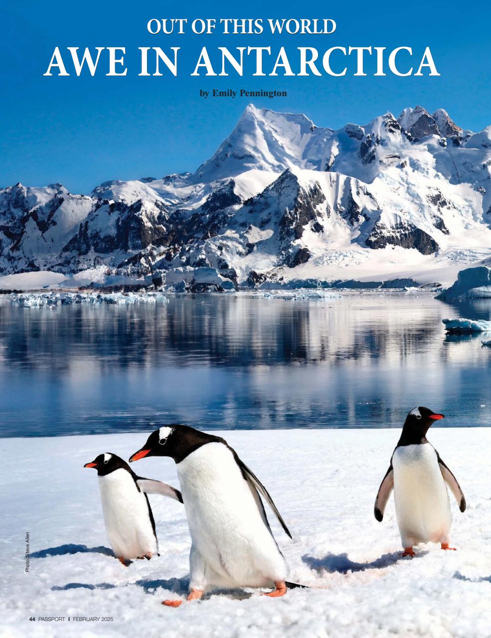 Passport Preview Pages