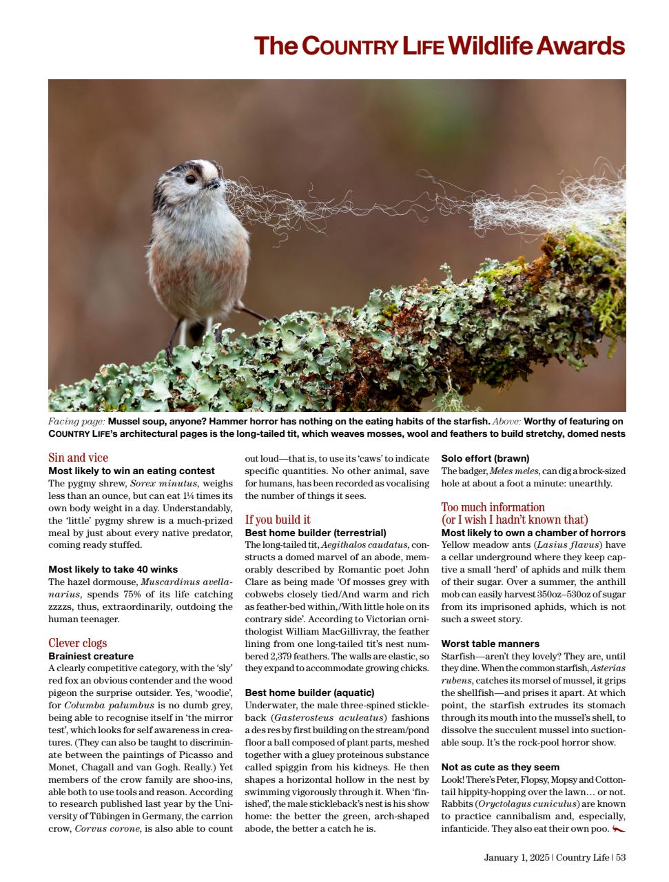 Country Life Preview Pages