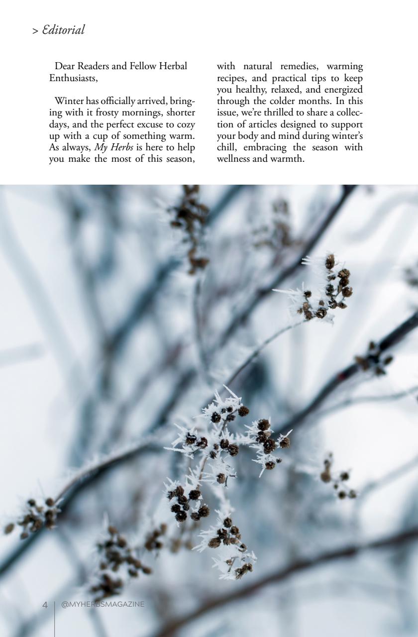 My Herbs Magazine Preview Pages