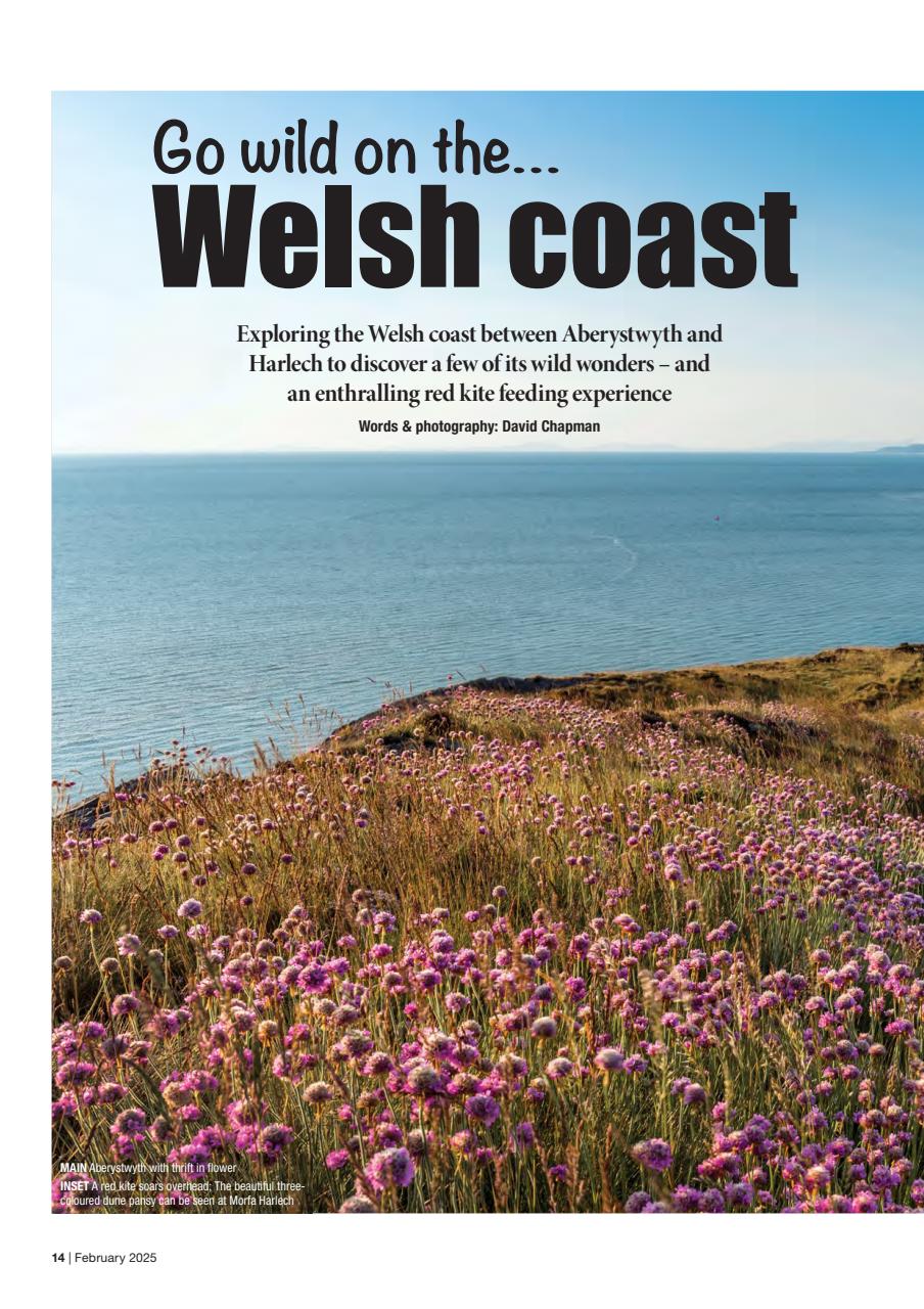 Caravan Magazine Preview Pages