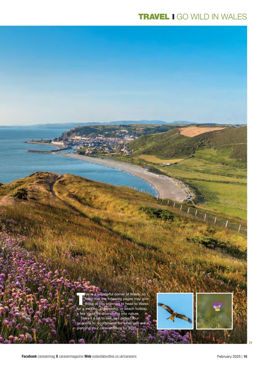 Caravan Magazine Preview Pages