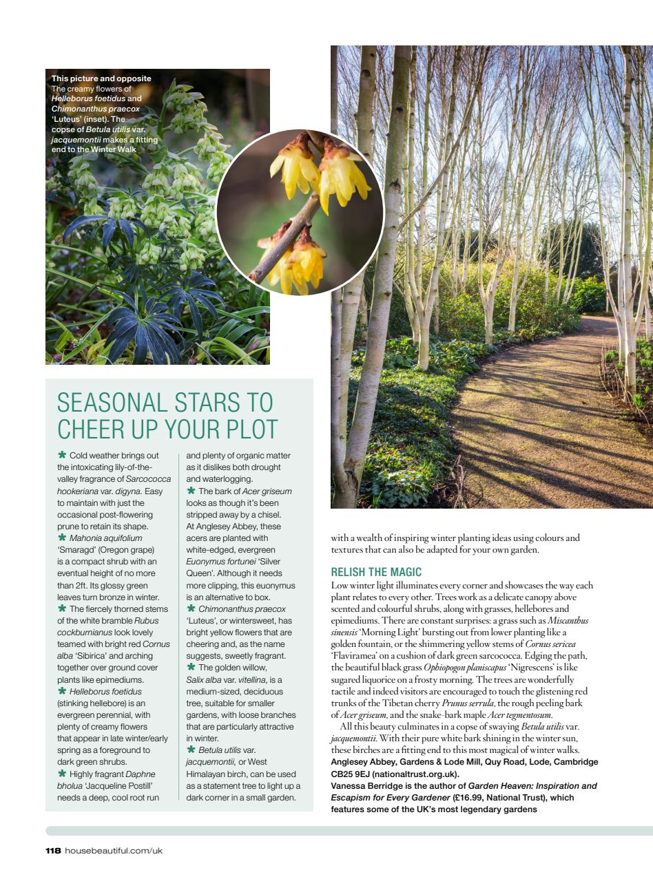 House Beautiful Preview Pages