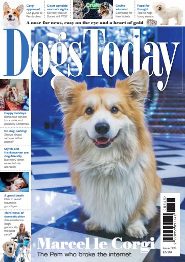 Dogs Today Magazine issue 