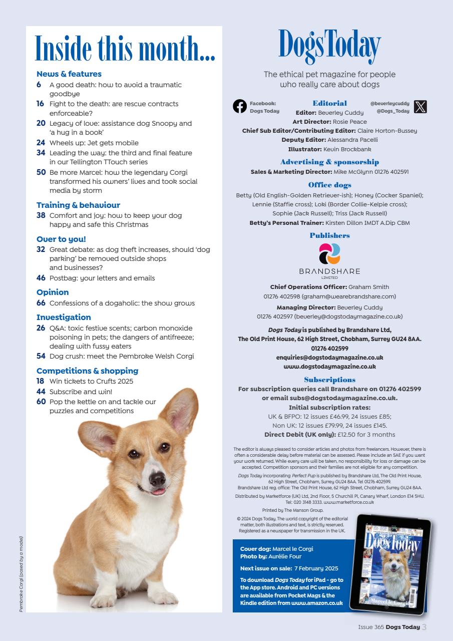 Dogs Today Magazine Preview Pages