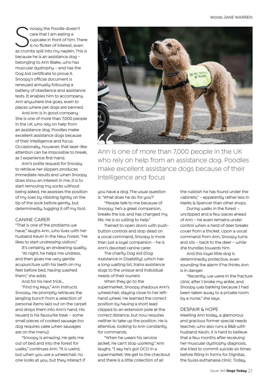 Dogs Today Magazine Preview Pages
