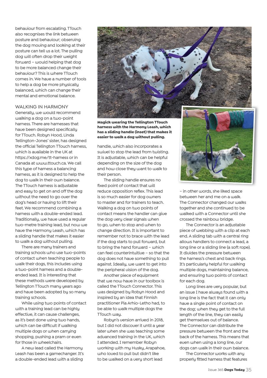 Dogs Today Magazine Preview Pages